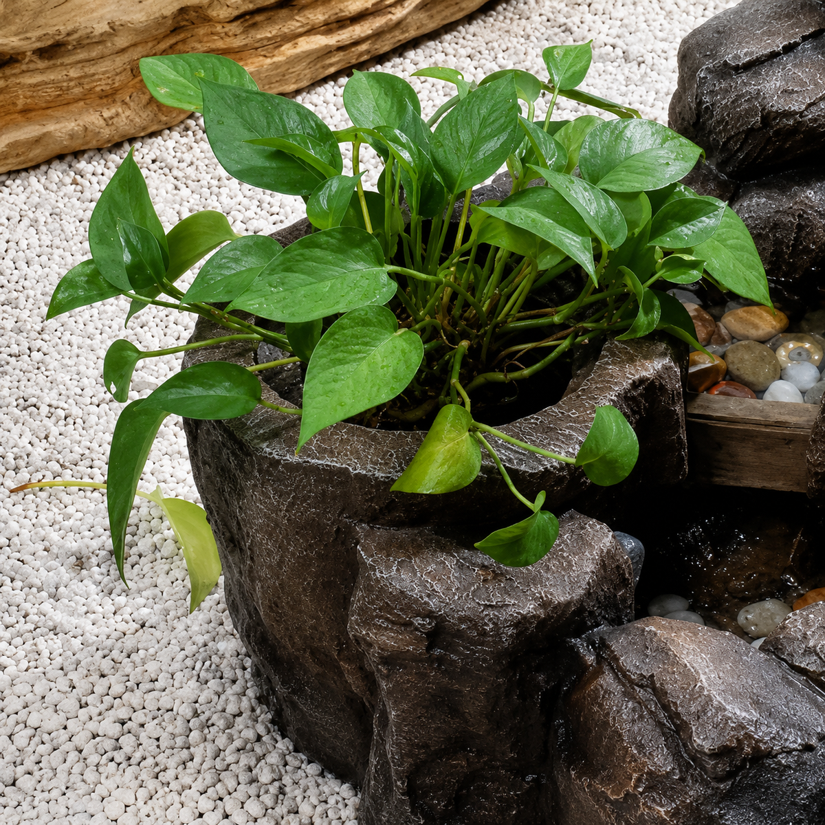 DIY Planting Nook Design
